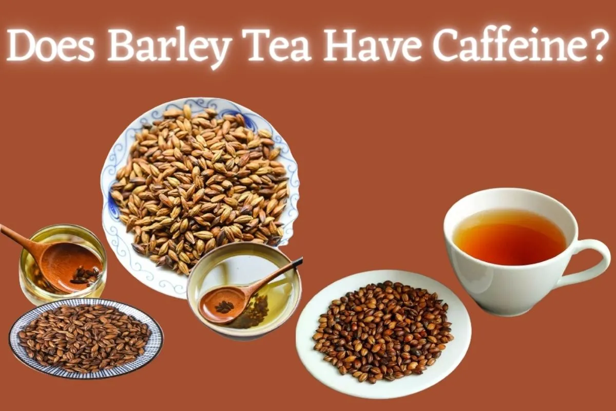 Does Barley Tea Have Caffeine?