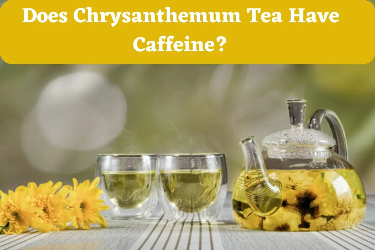 Does Chrysanthemum Tea Have Caffeine?