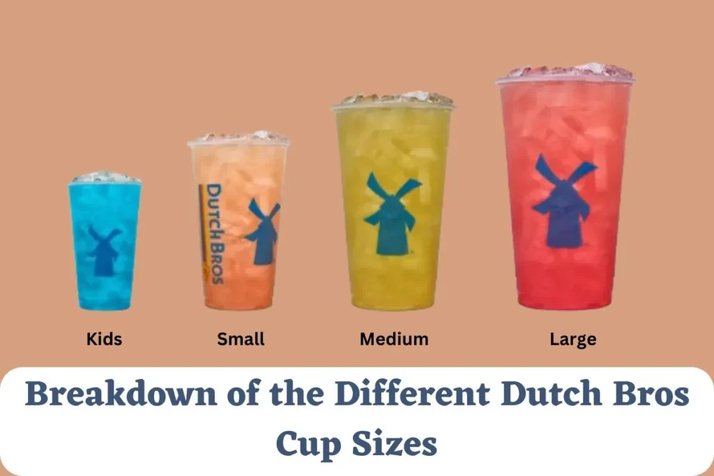 Dutch Bros Cup Sizes