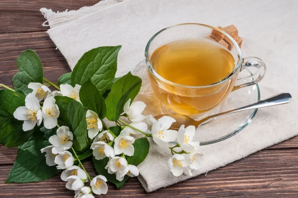 Recommended Daily Intake of Jasmine Green Tea